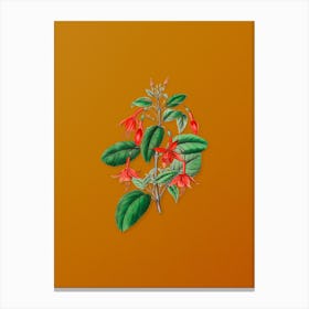Vintage Standish's Fuchsia Flower Branch Botanical on Sunset Orange n.0230 Canvas Print