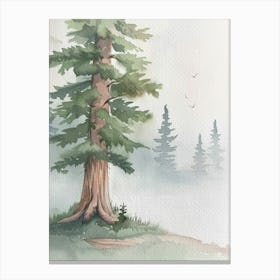Sequoia Tree Atmospheric Watercolour Painting 4 Canvas Print