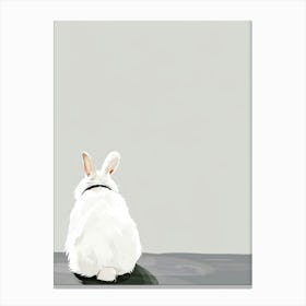 White Rabbit 5 Canvas Print