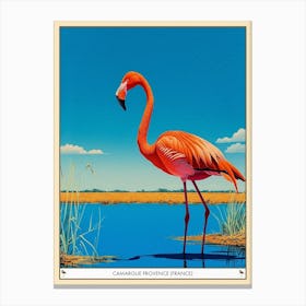 Greater Flamingo Camargue Provence France Tropical Illustration 2 Poster Canvas Print
