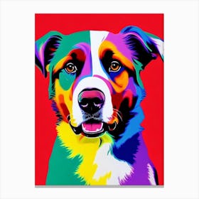 Bernese Mountain Dog Andy Warhol Style dog Canvas Print