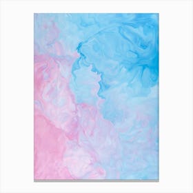 Abstract Pink And Blue Paint Canvas Print