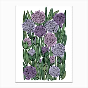 Chive Herb Flowers Canvas Print