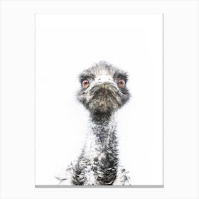 Emu Canvas Print