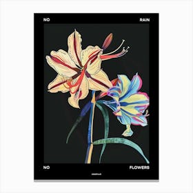 No Rain No Flowers Poster Amaryllis 4 Canvas Print