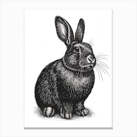 American Sable Blockprint Rabbit Illustration 3 Canvas Print