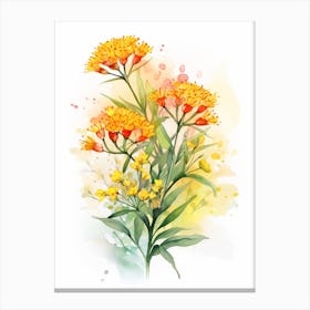 Butterfly Weed Wildflower With Sunset In Watercolor Style (3) Canvas Print