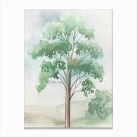 Eucalyptus Tree Atmospheric Watercolour Painting 1 Canvas Print