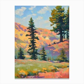 Atlas Cedar Tree Watercolour 2 Canvas Print