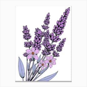 Lavender Flowers - Drawing Lienzo