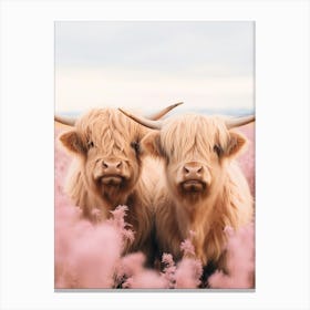 Two Highland Cows Behind The Pink Flowers Canvas Print