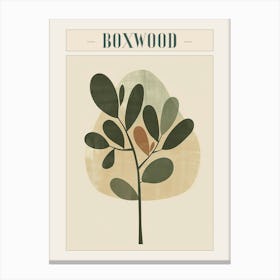 Boxwood Tree Minimal Japandi Illustration 4 Poster Canvas Print