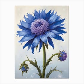 Germany Flower the Blue Cornflower Floral Canvas Print