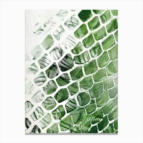 Green Moss Canvas Print