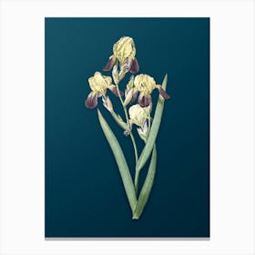 Vintage Elder Scented Iris Botanical Art on Teal Blue n.0140 Canvas Print