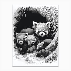 Red Panda Family Sleeping In A Cave Ink Illustration 2 Canvas Print