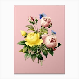 Vintage Variety of Roses Botanical on Soft Pink n.0042 Canvas Print