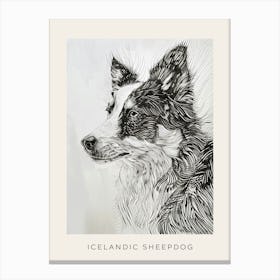 Icelandic Sheepdog Line Art 3 Poster Canvas Print