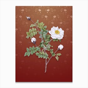 Vintage White Burnet Roses Botanical on Falu Red Pattern n.1442 Canvas Print