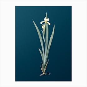 Vintage Yellow Banded Iris Botanical Art on Teal Blue n.0111 Canvas Print