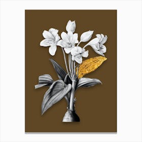 Vintage Crinum Giganteum Black and White Gold Leaf Floral Art on Coffee Brown n.0019 Canvas Print
