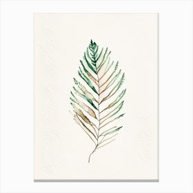 Cedar Leaf Minimalist Watercolour 1 Canvas Print