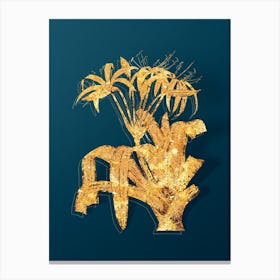 Vintage Crinum Erubescens Botanical in Gold on Teal Blue n.0025 Canvas Print