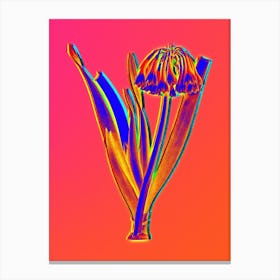 Neon Knysna Lily Botanical in Hot Pink and Electric Blue Canvas Print