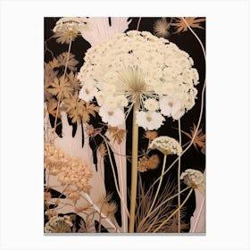 Flower Illustration Queen Annes Lace 1 Canvas Print