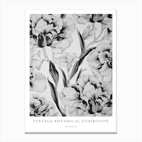 Gladiolus B&W Vintage Botanical Poster Canvas Print