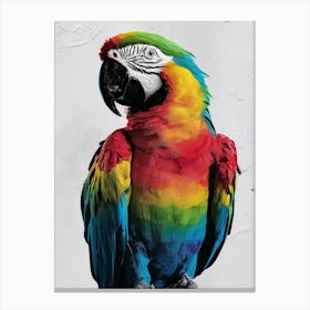 Colorful Parrot Canvas Print