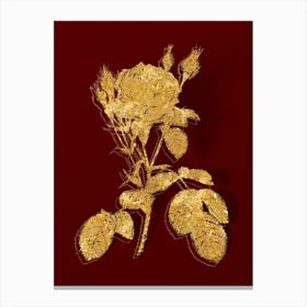 Vintage Double Moss Rose Botanical in Gold on Red n.0093 Canvas Print