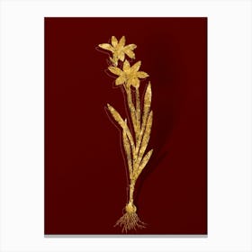 Vintage Ixia Liliago Botanical in Gold on Red n.0569 Canvas Print