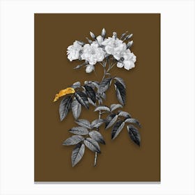 Vintage Musk Rose Black and White Gold Leaf Floral Art on Coffee Brown n.0769 Canvas Print