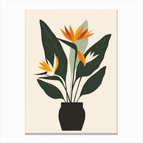 Bird Of Paradise Plant Minimalist Illustration 1 Canvas Print