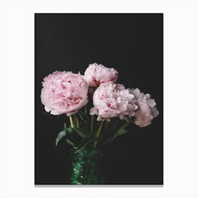 Peony On Black Canvas Print