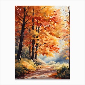 Autumn In The Woods 6 Canvas Print