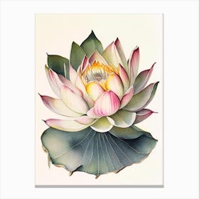 Giant Lotus Watercolour Ink Pencil 2 Canvas Print