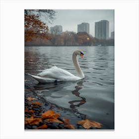 Swan In The Park 2 Canvas Print