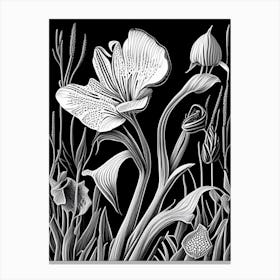 Desert Mariposa Lily Wildflower Linocut 1 Canvas Print