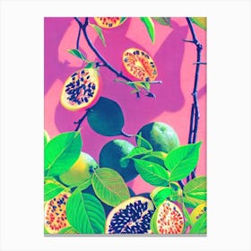Passionfruit Risograph Retro Poster Fruit Canvas Print