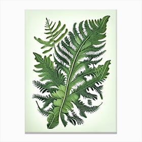 Evergreen Fern Wildflower Vintage Botanical Canvas Print
