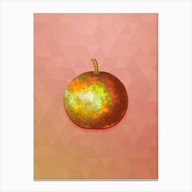 Vintage Adam's Apple Botanical Art on Peach Pink n.0852 Canvas Print