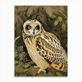 Short Eared Owl Relief Illustration 3 Canvas Print