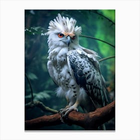 Regal Raptor: Harpy Eagle Art Canvas Print