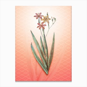 Blackberry Lily Vintage Botanical in Peach Fuzz Hishi Diamond Pattern n.0015 Canvas Print