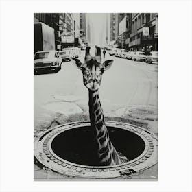 Giraffe in New York Canvas Print