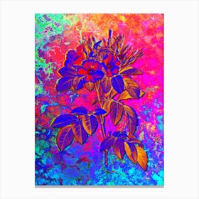 Pasture Rose Botanical in Acid Neon Pink Green and Blue n.0225 Canvas Print