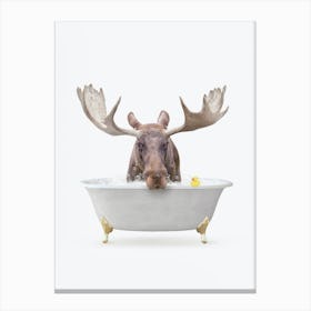 Moose In Simple Tub Canvas Print