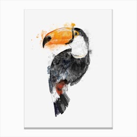 Toucan Canvas Print